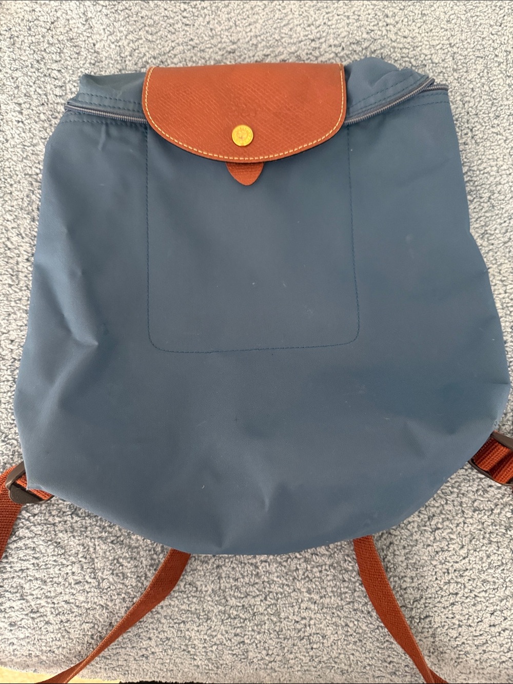 Light Navy  Backpack - Classic Everyday Backpack Longchamp